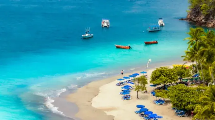 Isla Tortuga Snorkeling